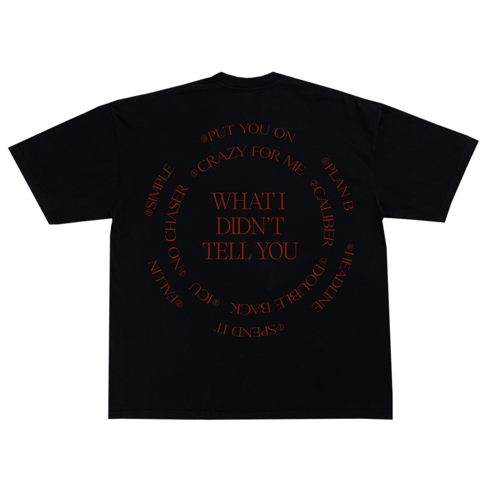 What I Didn't Tell You Black T-Shirt back